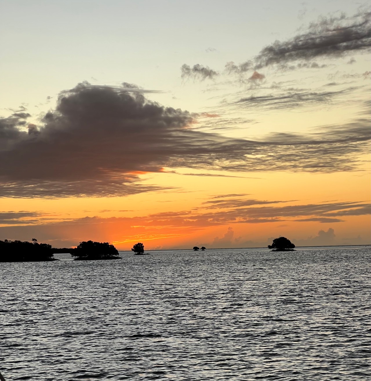 About Those Highs…