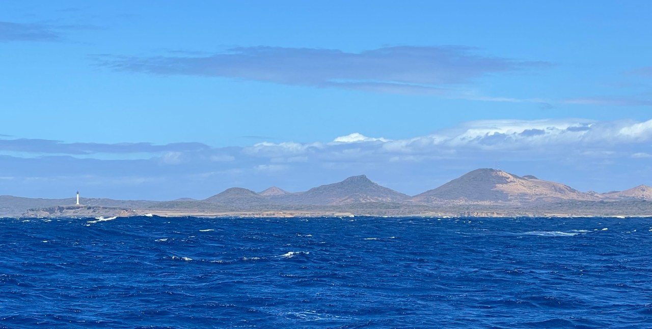 A Little Deferred&nbsp;Maintenance