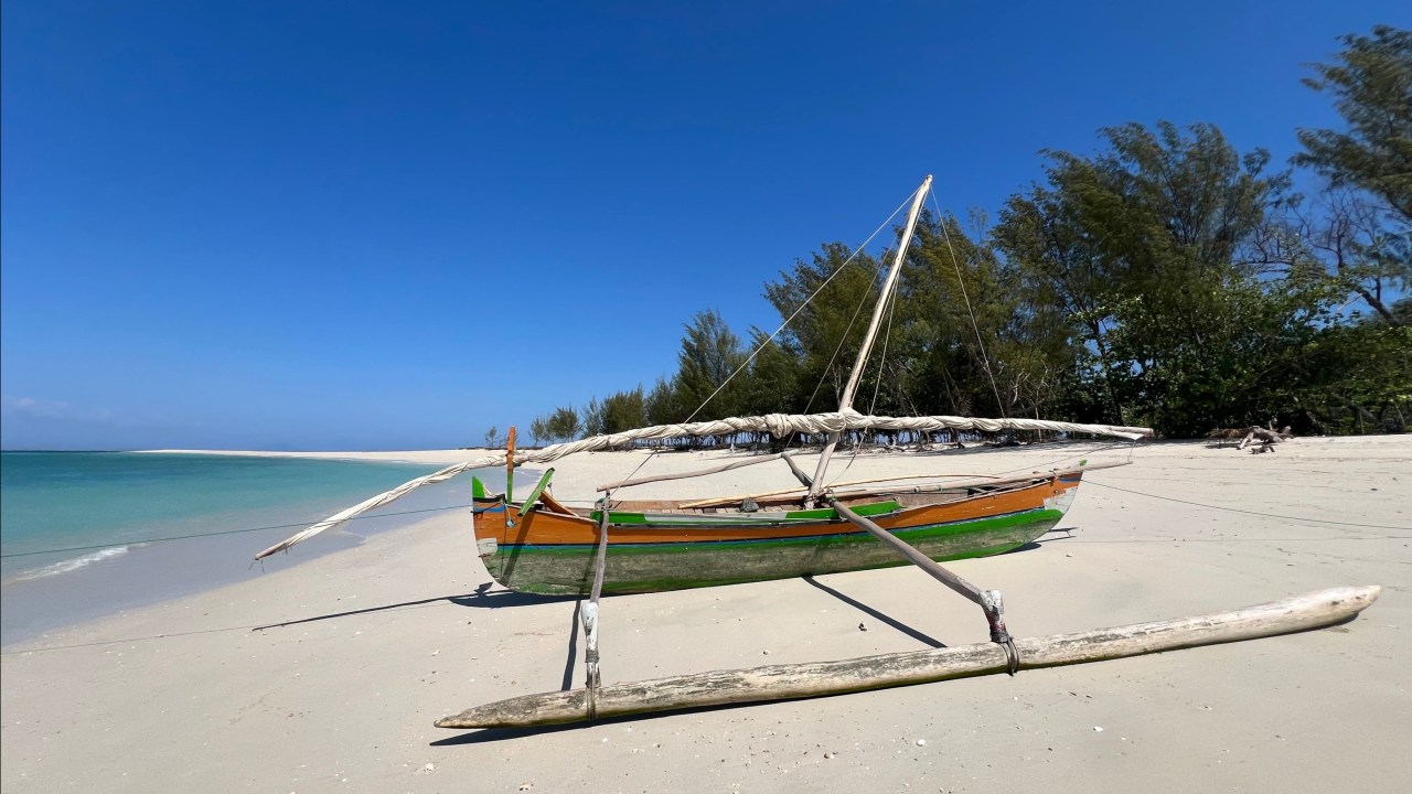 Should We Stay or&nbsp;Go?